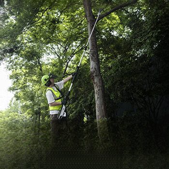 1754358331986919.png 圖片4.png